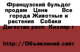 Французский бульдог продам › Цена ­ 1 - Все города Животные и растения » Собаки   . Дагестан респ.,Кизляр г.